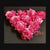 Light Pink Fabric Rose-10pcs/pack