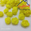 Yellow Foam Flower - Big