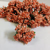 Orange Pollen Flower-144pc