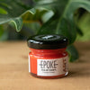 Cinnabar Orange Mini Pigment (25g)