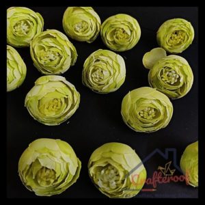 Mehndi Green Peony Flower -20pcs/pack