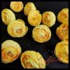 Yellow Peony#2 Flower - 20 pcs/pack