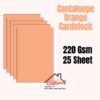 Cantaloupe Orange 220Gsm -25Sheet