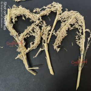 Dry stems for resin
