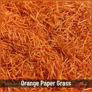 Orange Paper Grass