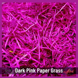 Pink Paper Grass