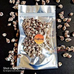 Shankh Shells