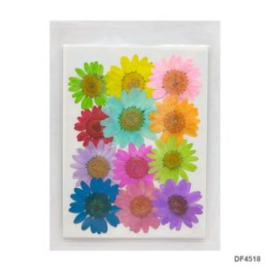 Dry Sun Flower Sheet