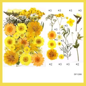 Yellow Dry Flower Sheet