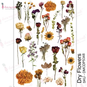 Dry Flowers - Transfer Me