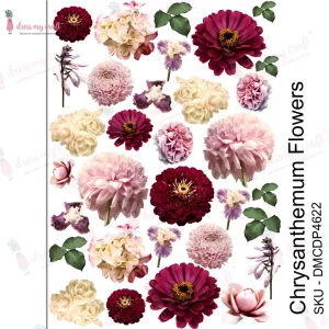 Chrysanthemum Flowers – Transfer Me