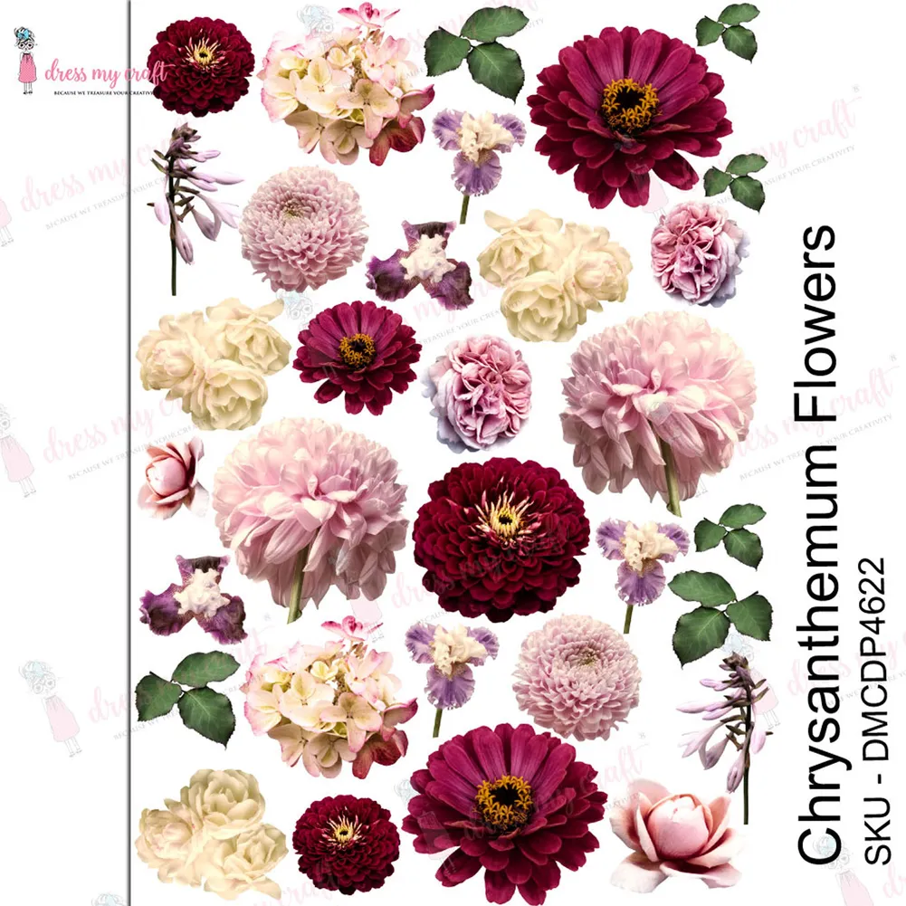 Chrysanthemum Flowers - Transfer Me